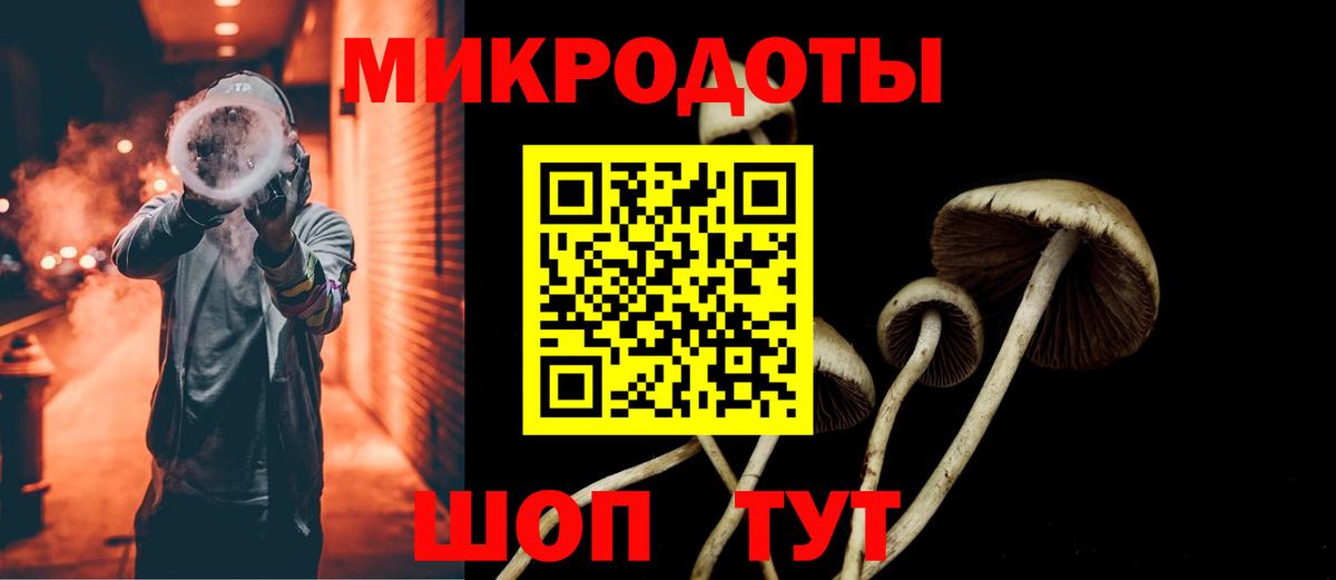 Псилоцибиновые грибы Magic Shrooms Кизляр